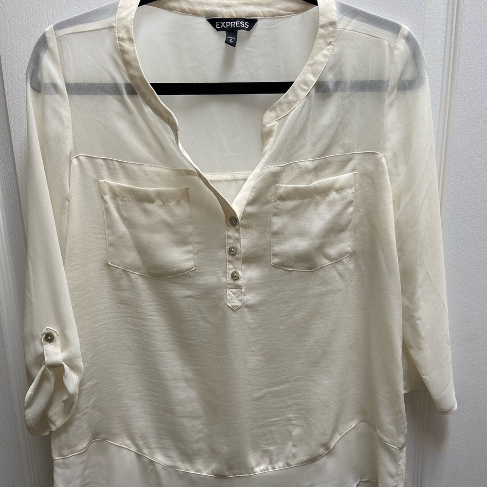 Express Sheer Blouse